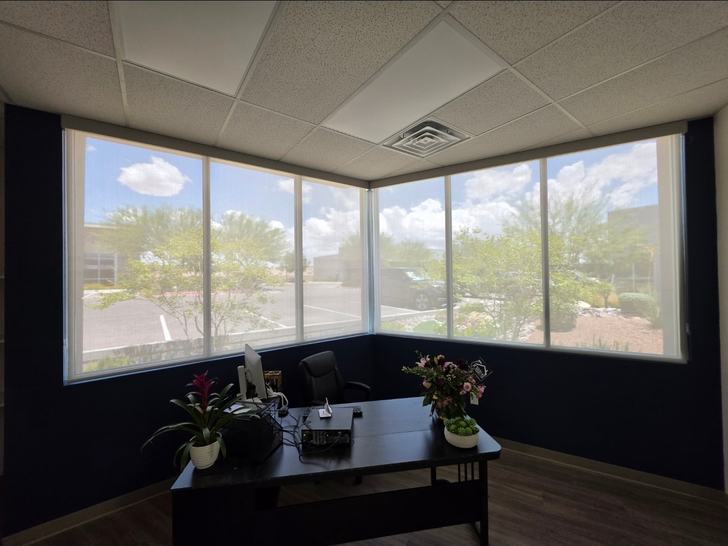 Roller Shades